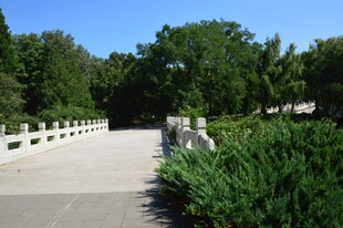 园林风景 
