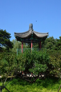 公园风景  