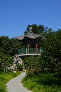 植物园风景  