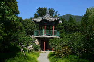 公园风景  