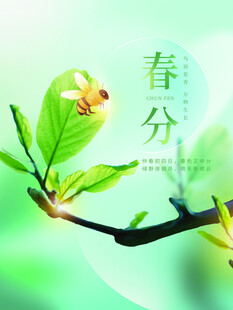 春分节气宣传海报展板