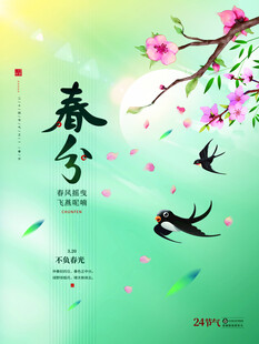 春分节气宣传海报展板