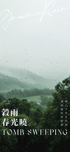 谷雨节气宣传海报展板