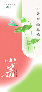 小暑节气宣传海报展板