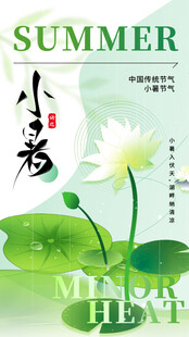 小暑节气宣传海报展板
