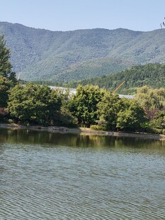 公园风景  