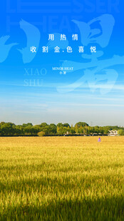 小暑节气宣传海报展板