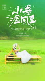 小暑节气宣传海报展板