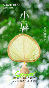 小暑节气宣传海报展板