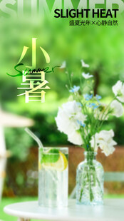 小暑节气宣传海报展板
