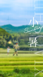 小暑节气宣传海报展板