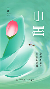 小暑节气宣传海报展板