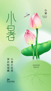 小暑节气宣传海报展板