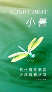 小暑节气宣传海报展板