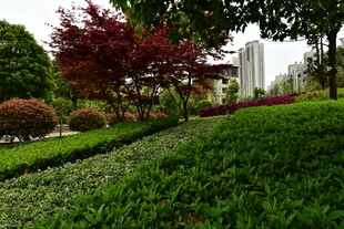 象鼻窝森林公园