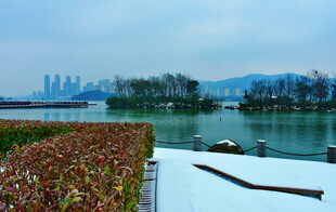 梅溪湖的冬天美景