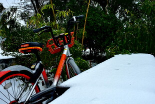 梅溪湖公园的冬