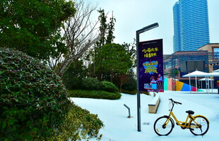 梅溪湖公园雪景