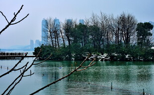 梅溪湖公园雪景