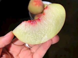 水蜜桃
