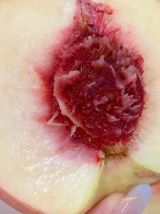 水蜜桃