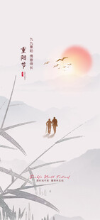 重阳节气宣传海报展板