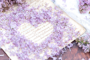 丁香花素材壁纸