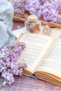 丁香花素材壁纸