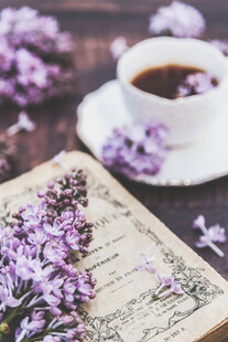 丁香花素材壁纸