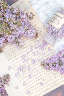 丁香花素材壁纸