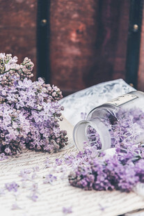 丁香花素材壁纸