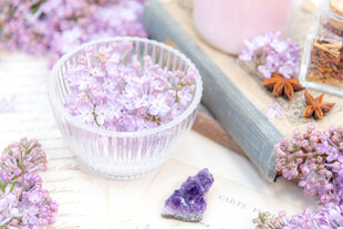 丁香花素材壁纸