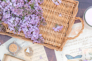 丁香花素材壁纸