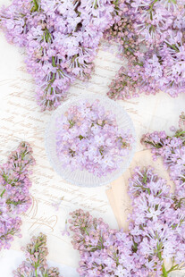 丁香花素材壁纸