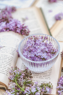 丁香花素材壁纸