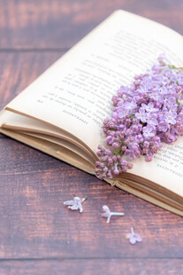 丁香花素材壁纸