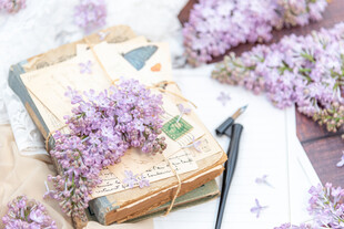 丁香花素材壁纸