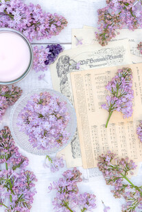 丁香花素材壁纸