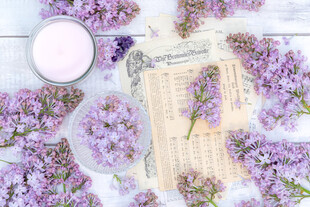 丁香花素材壁纸