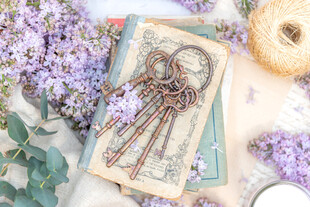 丁香花素材壁纸