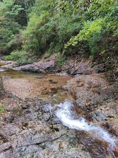 小溪 溪水