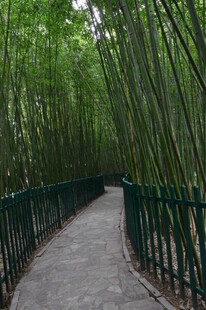 公园风景 