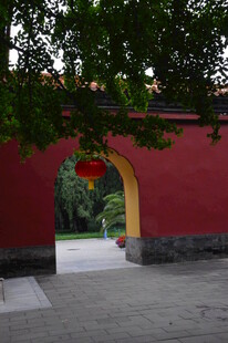 公园风景  