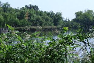 公园风景  