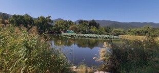 公园风景  
