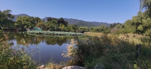 公园风景  