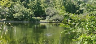 公园风景  