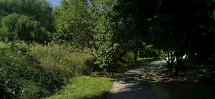 公园风景 