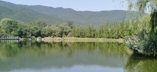公园风景  