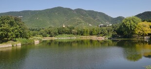公园风景  
